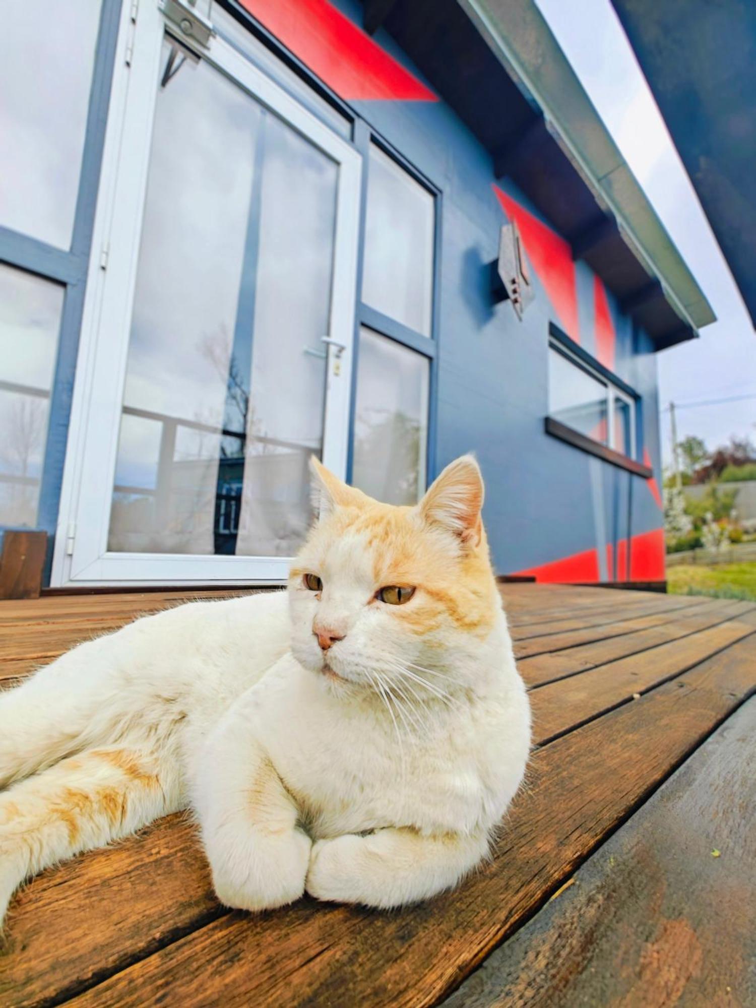 ポトレリージョス Casa Faro Arteヴィラ エクステリア 写真