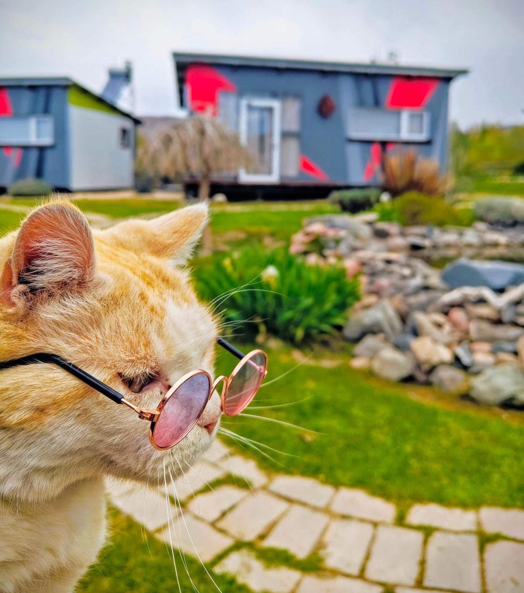 ポトレリージョス Casa Faro Arteヴィラ エクステリア 写真