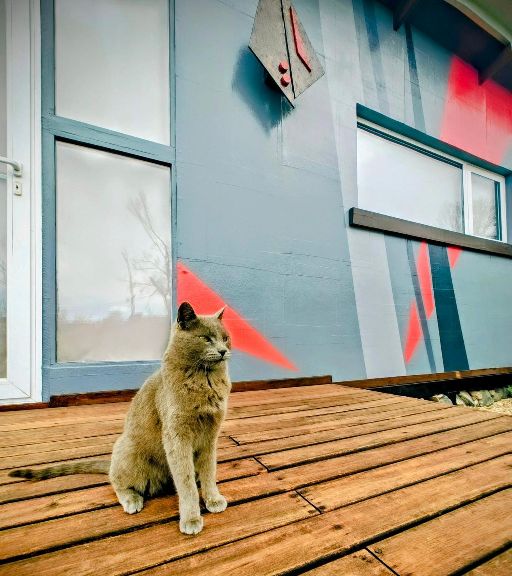 ポトレリージョス Casa Faro Arteヴィラ エクステリア 写真